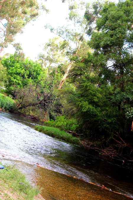 Doon Reserve Caravan Park