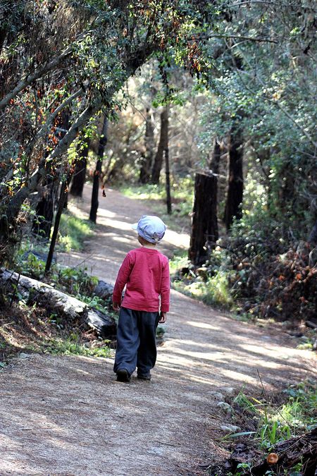 Point Lobos Hiking