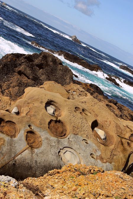 Point Lobos