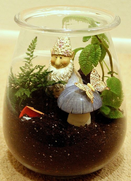 Gnome Terrarium