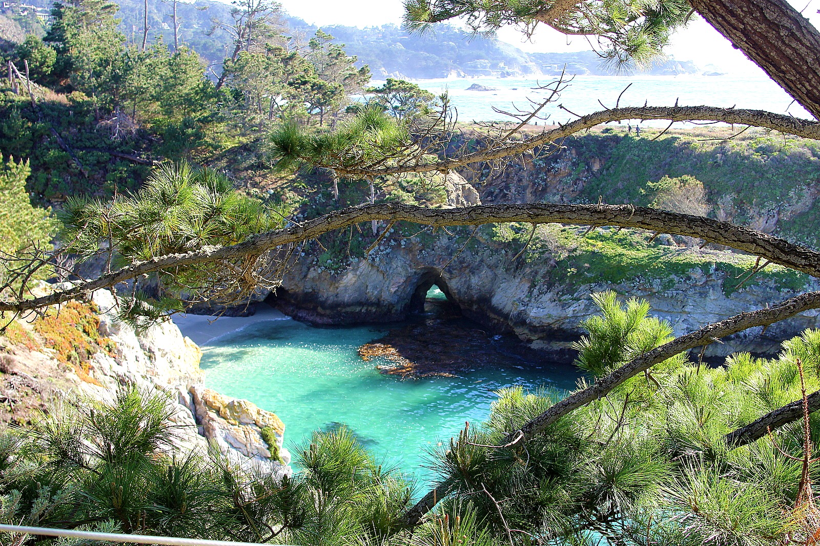 Point Lobos State Reserve | Tonya Staab