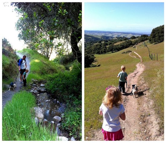 Toro County Park hiking