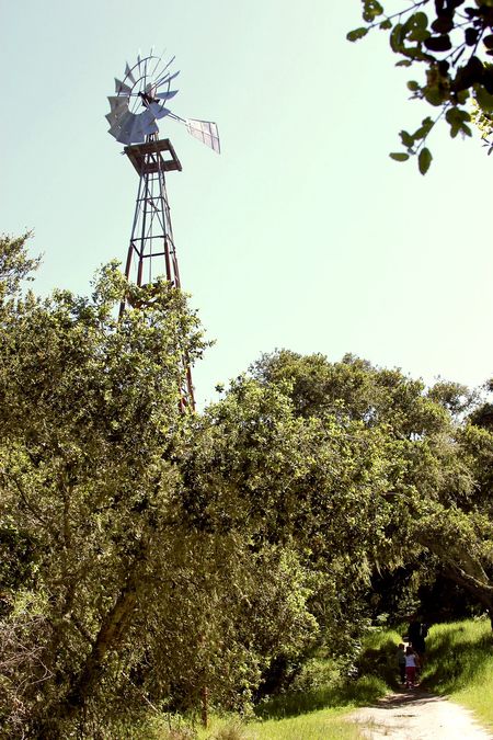 Toro Park Windmill