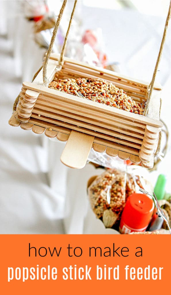 Popsicle stick bird feeder Pinterest image