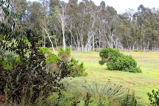 Lagoon Trail Carlsbad