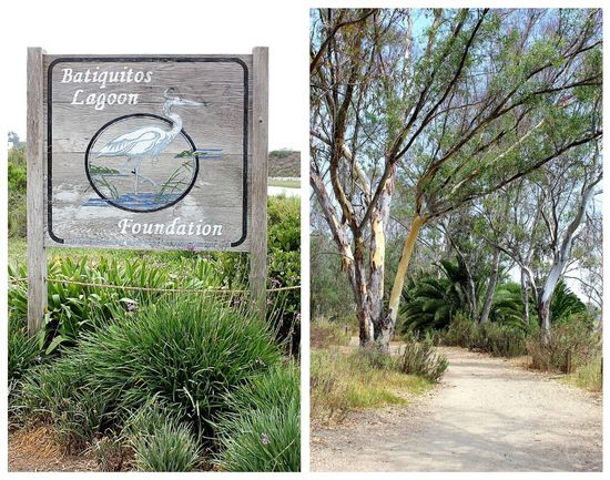 Batiquitos Lagoon hiking