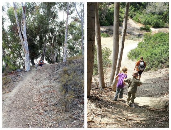 Hiking in Carlsbad