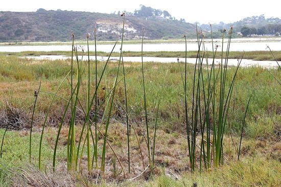 Explore Southern California