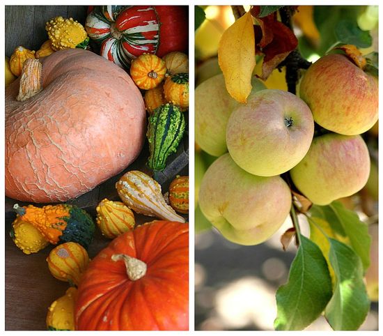 Fall produce