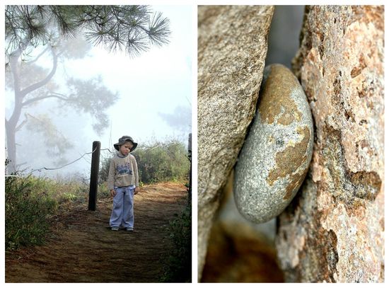 Hiking Torrey Pines Reserve