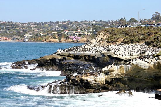 la jolla