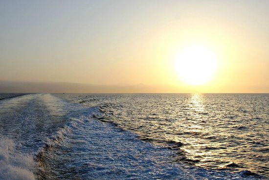 catalina ferry