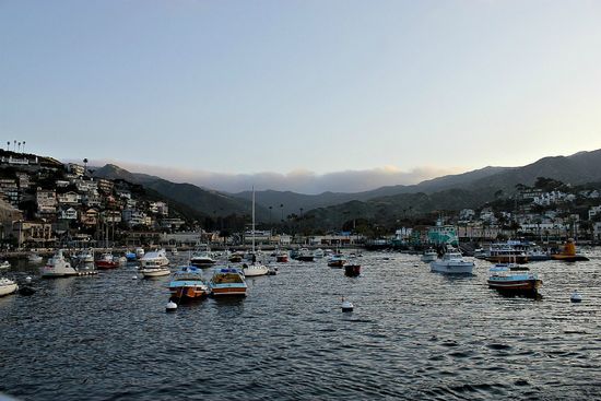 catalina ferry