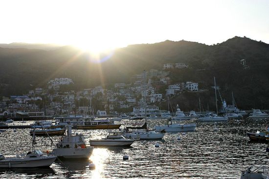 catalina ferry