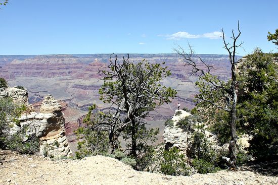 grand canyon