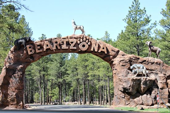 Bearizona