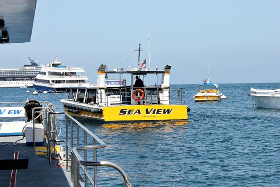 glass bottom boat catalina