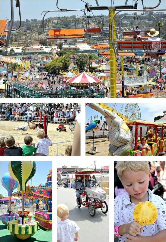San Diego County Fair 2012