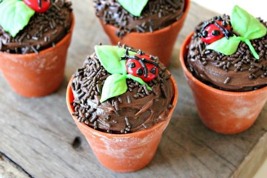 Ladybug cupcakes baked in silicone plant pots