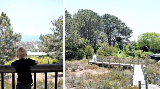 Botanic Garden lookout