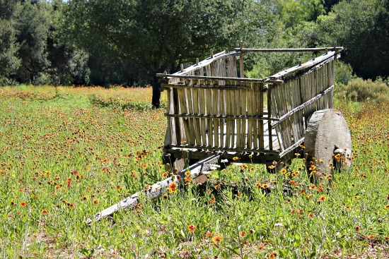 Rancho La Puerta