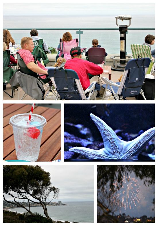 Birch Aquarium 2012 4th of July