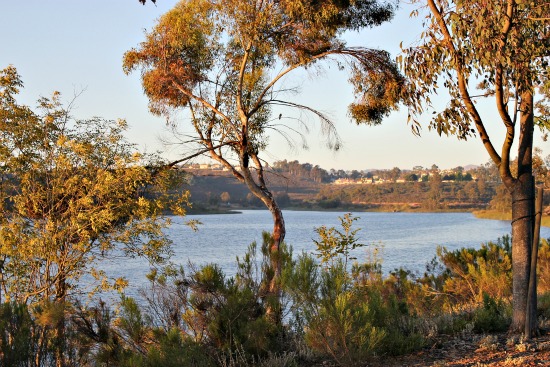 lake miramar