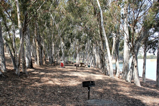 Chollas Lake Park