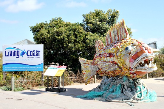 living coast discovery center