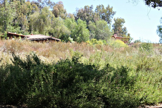 Rancho La Puerta