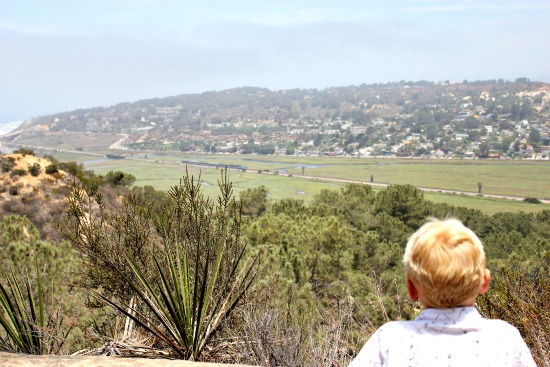 Torrey pines state natural reserve