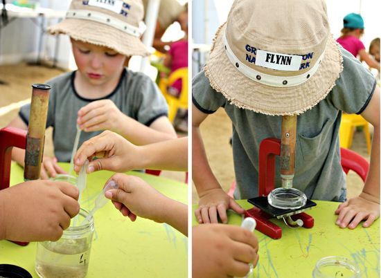 Viewing plankton with a microscope