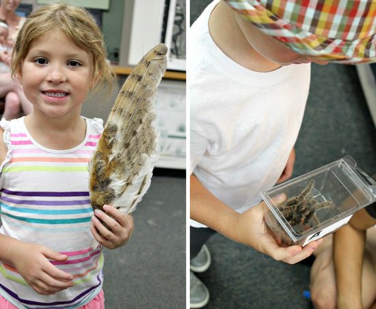 Tecolote Canyon Nature Center