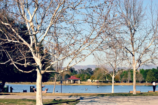 Lake balboa