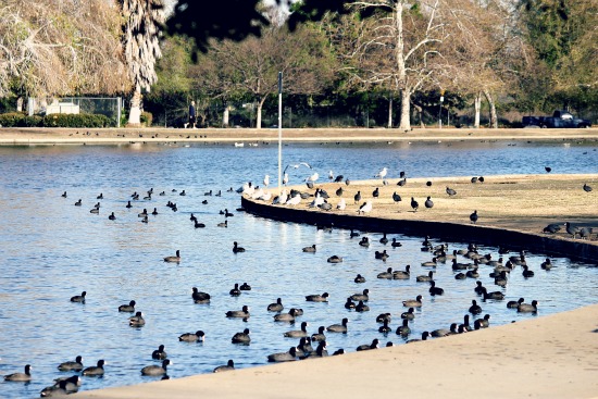 lake balboa