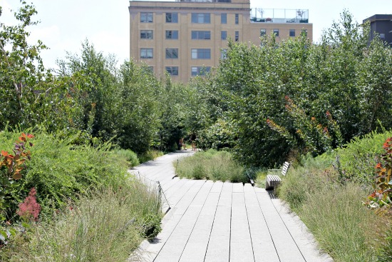 the high line