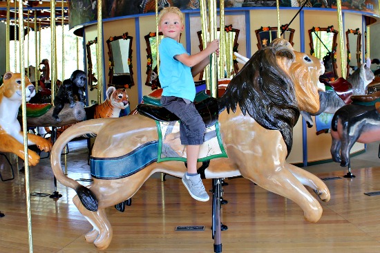 LA Zoo Carousel