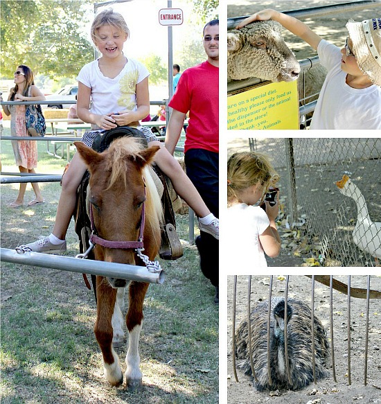 Fall Activities at Bates Nut Farm