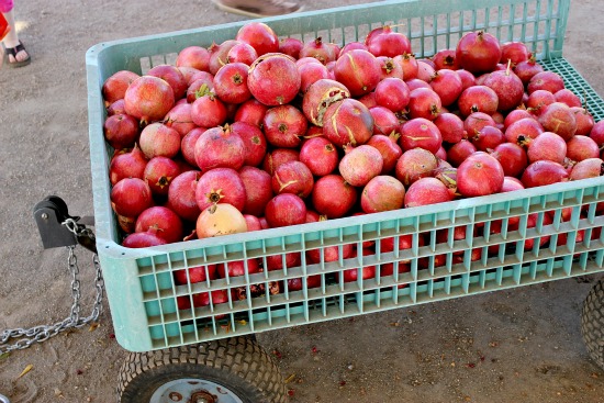 pomegranates