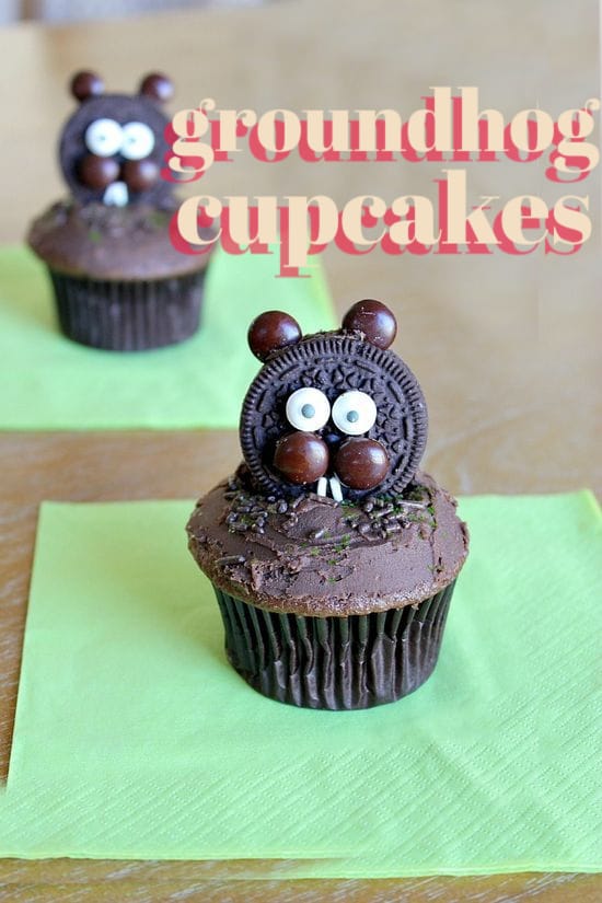 groundhog day cupcakes