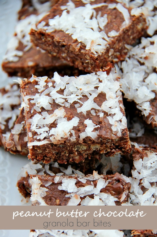 chocolate and coconut squares