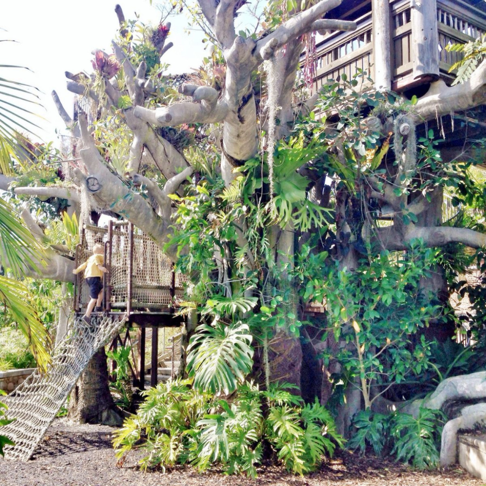 a natural jungle gym made from wood and plants for kids