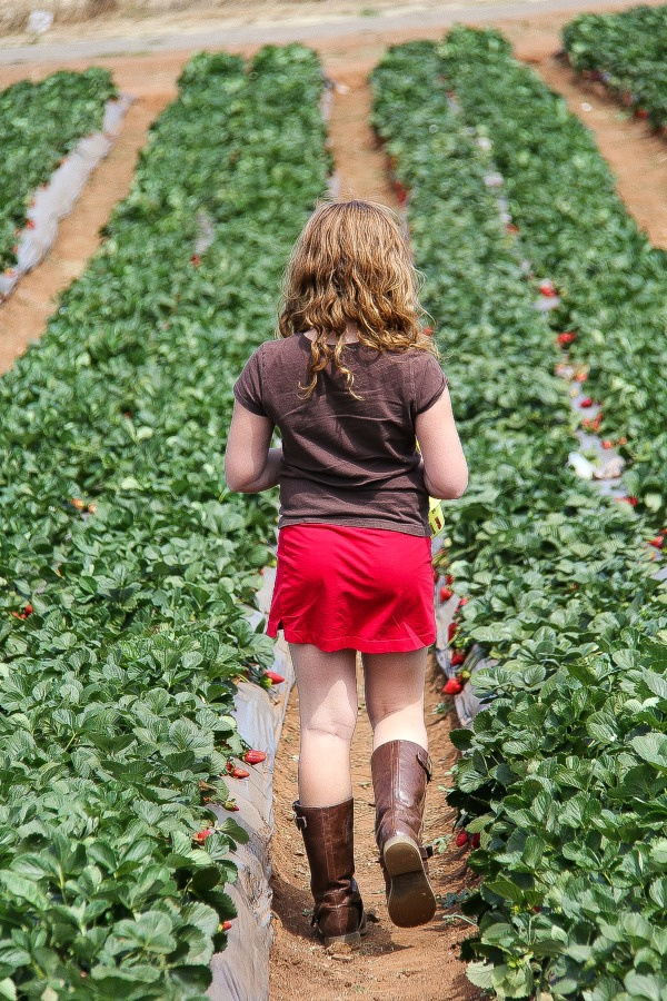 a girl walking through strawberry fields