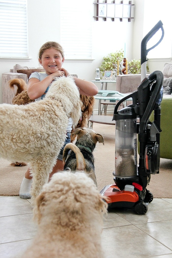 a girl playing with dogs with a vacuum cleaner nearby