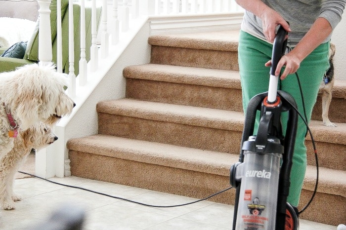 lady vacuuming while dogs stare at her