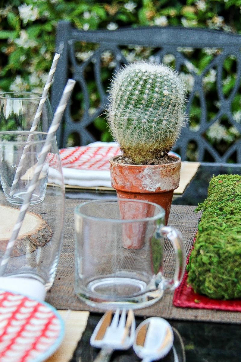 a small cactus, glassware and plates on an outdoor table