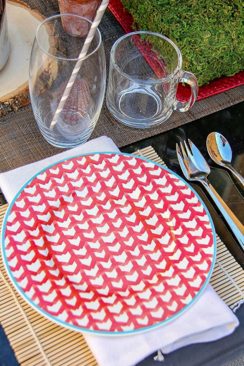 red and white plates with a blue rim