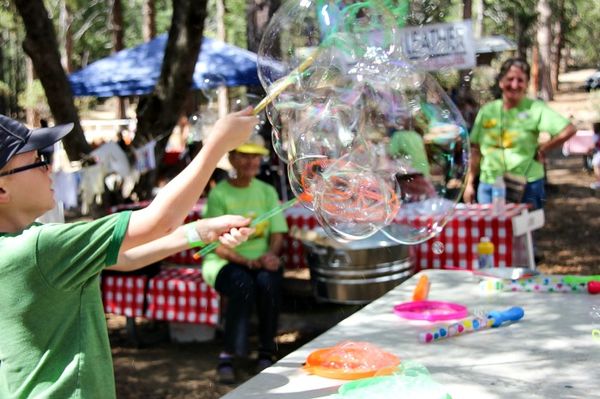 boy using a bubble maker 