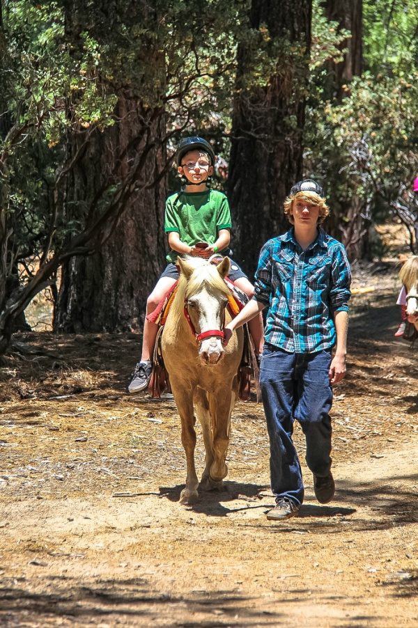 boy being lead around on a horse