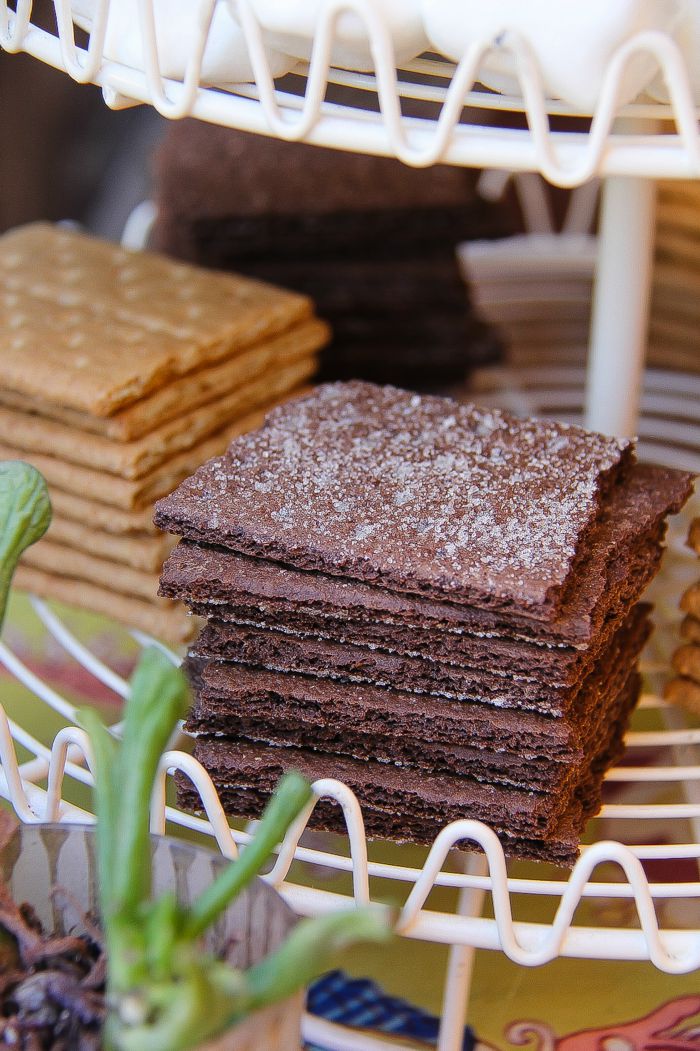 chocolate and regular graham crackers for s'mores